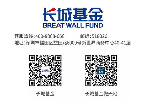 長城新優選混合基金